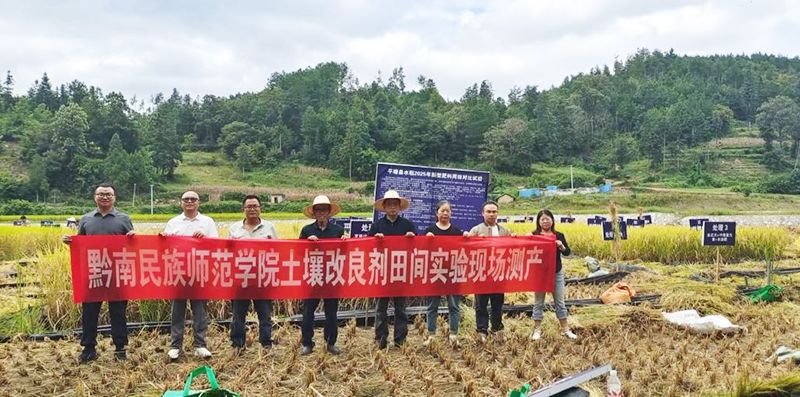 科技赋能乡村振兴：我校新型土壤改良剂田间测产成...